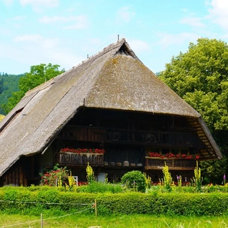 tourhub | Avalon Waterways | Romantic Rhine (Southbound) (Vista) 