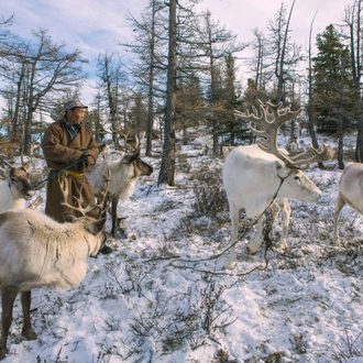 tourhub | YellowWood Adventures | Tsaatan Tribe: The reindeer herders of Mongolia 