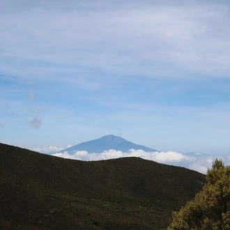 tourhub | Jee Tours | Kilimanjaro 10 Days Trek Northern Circuit Route 