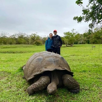 tourhub | Rebecca Adventure Travel | 8-Day Galapagos Island Hopping Tour: Isabela, Giant Tortoises, and Snorkeling 