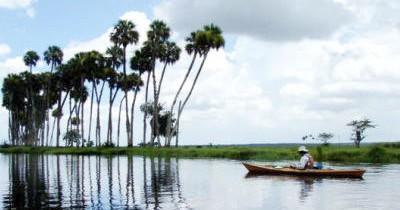 Orlando Alligator Experience