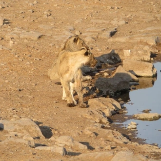 tourhub | Motor Trails | 14 Days Discover Northern Namibia, Kakoaland by Motorcycle 