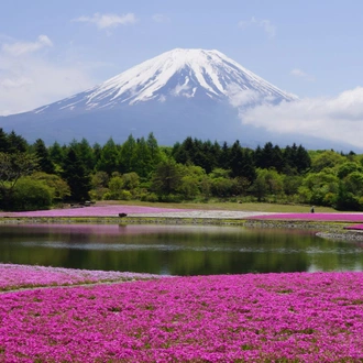 tourhub | Europamundo | Essential Japan and Hakone end Hiroshima 