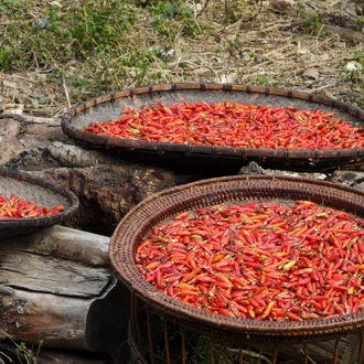 tourhub | SpiceRoads Cycling | Remote Vietnam and Laos by Bike 