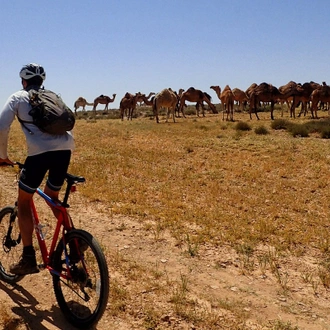 tourhub | SpiceRoads Cycling | Bike Trails of Jordan 