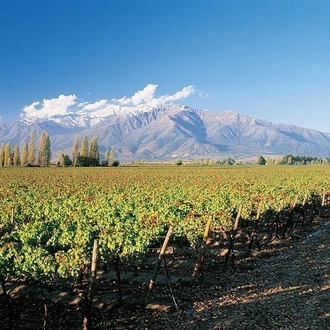 tourhub | Signature DMC | 7-Days Unique Experience visiting the best Chilean & Argentinean Wine Valleys! 