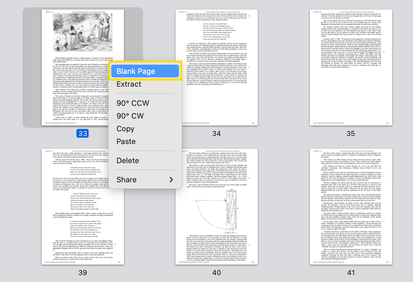 PDF Reader Pro Mac blank page