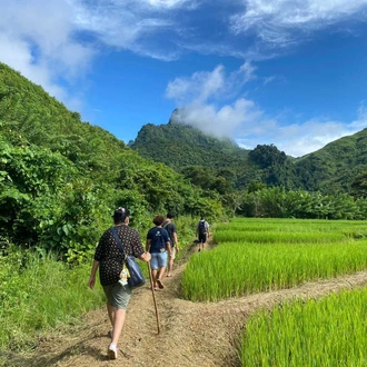 tourhub | G Adventures | Thailand to Laos: Kanchanaburi, Chiang Rai & Laos Countryside 