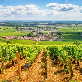 tourhub | Exodus Adventure Travels | Cycling the Grand Crus of Burgundy 