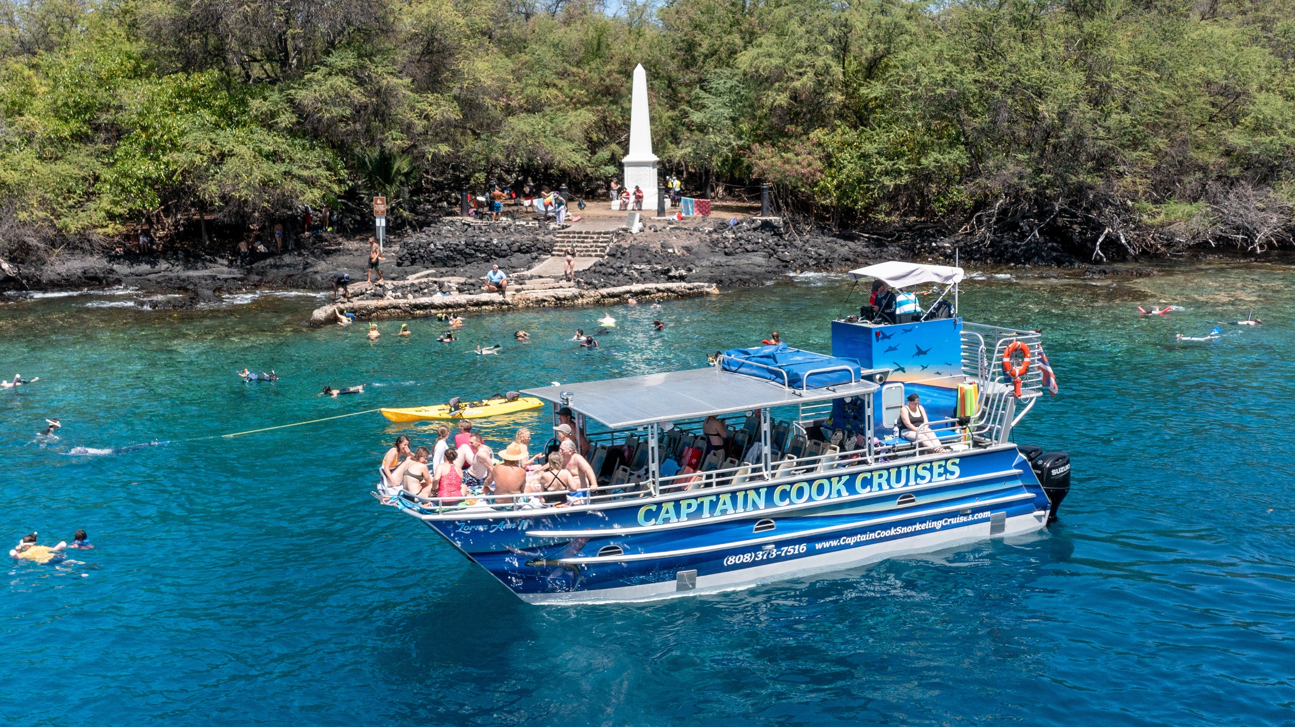 Book Dolphin Tour Big Island