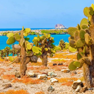 tourhub | Explore! | Galapagos - Central & West Islands aboard the Treasure 