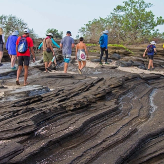 tourhub | Intrepid Travel | Best of Galapagos  