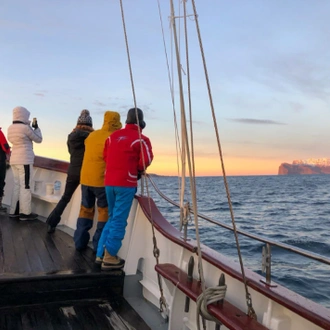 tourhub | World Sea Explorers AS | Whale Watching, Northern Lights & Sledding from Tromso 