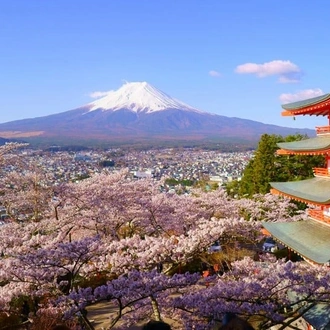 tourhub | Travel Talk Tours | Japan Explorer 