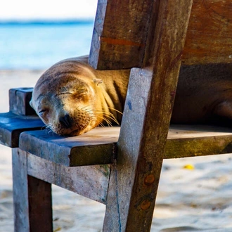 tourhub | Explore! | Galapagos Express - Central, South & East Islands aboard the Archipel I 