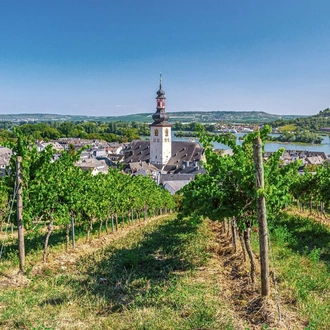 tourhub | Avalon Waterways | Romantic Rhine with 1 Night in Amsterdam, Mount Pilatus, 1 Night in Lucerne & 3 Nights in Lake Como (Southbound) (Panorama) 