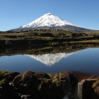 tourhub | Ecuador Galapagos Travels | 14 Days in Ecuador Highlights Amazon and Galapagos Islands 