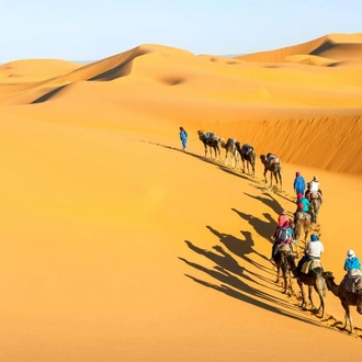 tourhub | Best Tours Morocco | SAHARA EXPERIENCE (Private Guided tour/ 4 Star Hotels) 