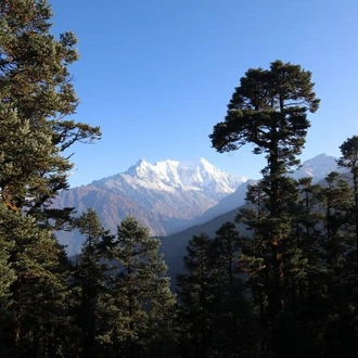 tourhub | Encounters Travel | Langtang and Tamang Heritage trek 