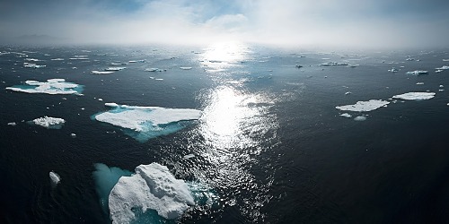 Représentation de la formation : Les fondamentaux du Net Zero