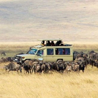 tourhub | East Africa Safari Guides | 6 Day Tanzania Camping Safari to Tarangire, Serengeti and Ngorongoro Crater Tour 