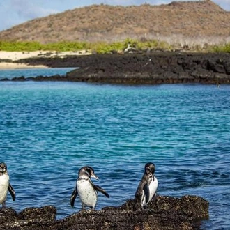 tourhub | G Adventures | Galápagos – Central and East Islands aboard the Reina Silvia Voyager 