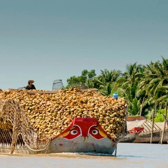 tourhub | Today Voyages | Cycling along the mighty Mekong Delta 