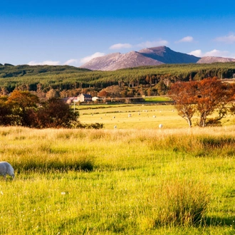 tourhub | Brightwater Holidays | Scotland: Autumn Tints of Arran 5912 