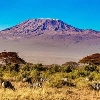 tourhub | Mbega African Safaris | 6 Days Kilimanjaro Climb Marangu Route 