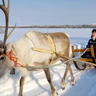 tourhub | On The Go Tours | Lapland & the Arctic Circle - 5 Days 