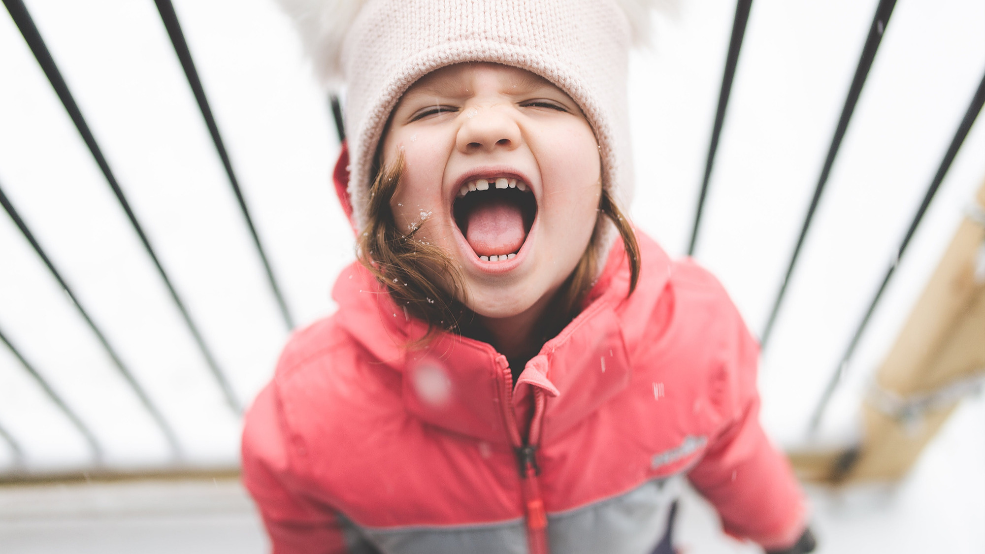 Représentation de la formation : Les émotions des jeunes enfants à la lumière des neurosciences et autres connaissances scientifiques - 2 jours