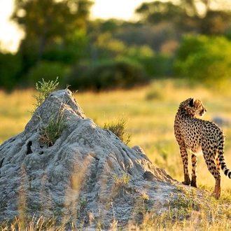 tourhub | Alaitol Safari | Camping Safari To Manyara, Serengeti and  Ngorongoro. 