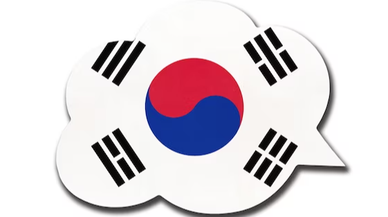 Représentation de la formation : Coréen - Débutant - 20h distanciel