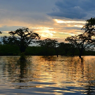 tourhub | Ecuador Galapagos Travels | 4 Days Amazon Lodge Cuyabeno Reserve 