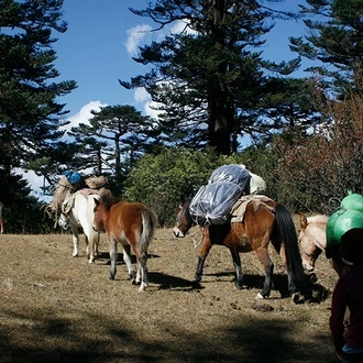 tourhub | Bhutan Acorn Tours & Travel | Bhutan Cultural Tour With 2-Day Trek in Bumthang Valley 