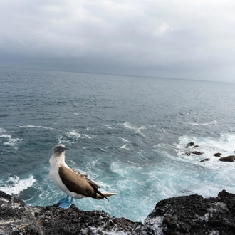 tourhub | Ecuador Galapagos Travels | 6 Days Galapagos Highlights 