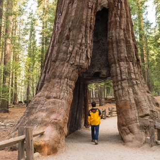 tourhub | Explore! | Western USA National Parks Explorer 