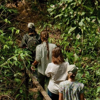 tourhub | Bamba Travel | Puerto Maldonado Amazon Superior Lodge 4D/3N (from Puerto Maldonado) 