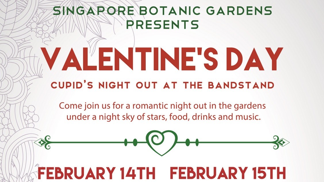 Valentine's Day 2015 - Cupid's Night Out