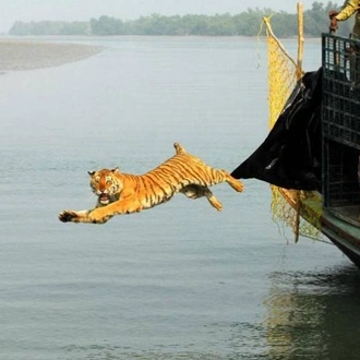 tourhub | Agora Voyages | Coastal Charms Discovery: Exploring Mumbai, Kolkata & Sunderban 