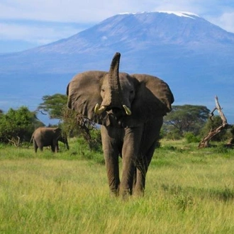 tourhub | Bamba Travel | Amboseli Safari 3D/2N 