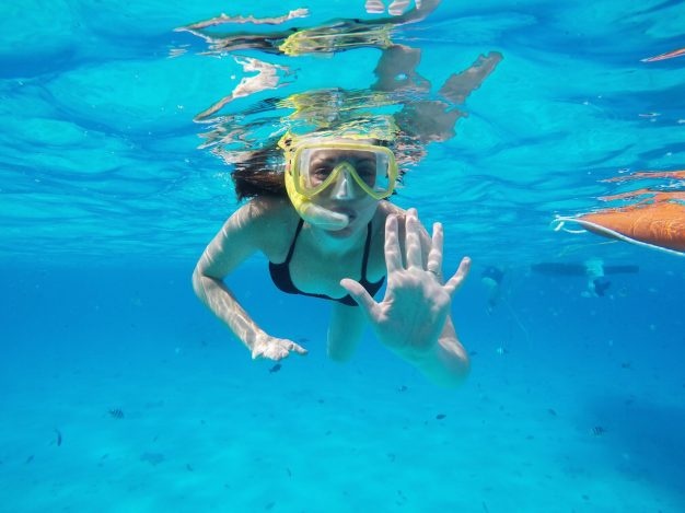 Dolphin and Snorkel Excursion