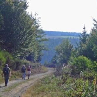 tourhub | Walkers' Britain | Stevenson's Trail: The Cevennes - 11 Days 