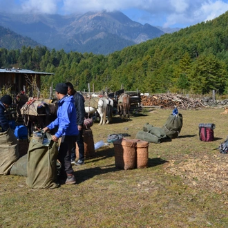 tourhub | World Tour Plan | Bhutan Sagala Trek 