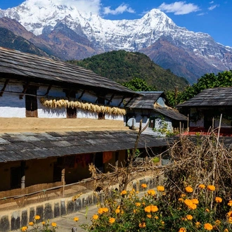 tourhub | Explore! | Annapurna Luxury Lodge Trek 