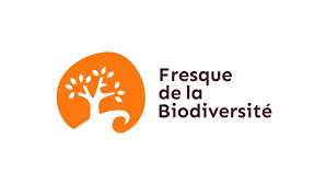 Représentation de la formation : La Fresque de la Biodiversité - Formation à distance
