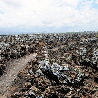 tourhub | BM Tours | 5 Days Galapagos Tour: Santa Cruz and Isabela Islands 