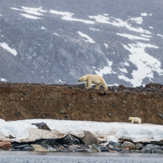 tourhub | Intrepid Travel | Spitsbergen Highlights: Journey into the Arctic Wilderness 