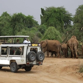 tourhub | Gracepatt Ecotours Kenya | 13 Days Kenya Wildlife Safari Trail on 4xx4 Land Cruiser Jeep 