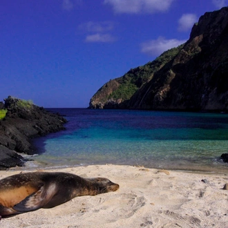 tourhub | Exodus Adventure Travels | Galapagos Wildlife Cruise (Archipel I) 